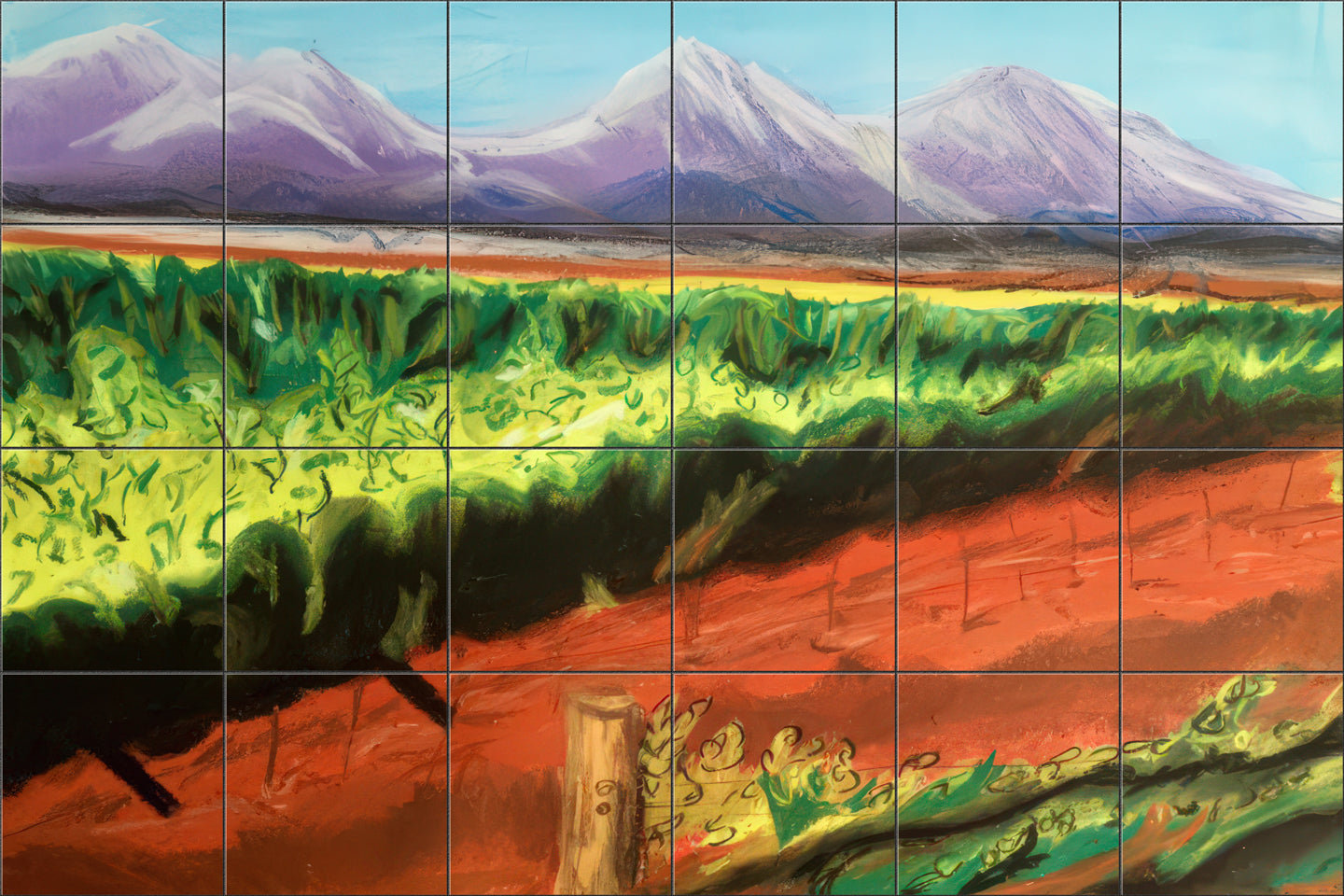 Arizona Vineyard By Deborah Wolfe - Landscape