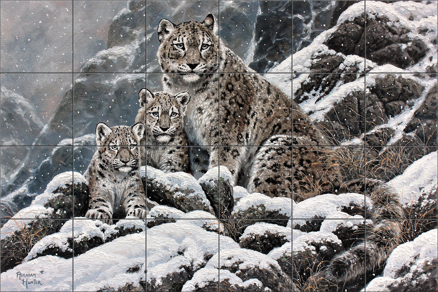Snow Leopard By Abraham Hunter- Landscape