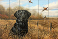 Load image into Gallery viewer, Black Lab & Pheasants By Abraham Hunter - Landscape
