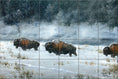 Load image into Gallery viewer, Firehole River Blizzard By Abraham Hunter - Landscape
