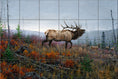 Load image into Gallery viewer, Up On Top By Abraham Hunter - Landscape
