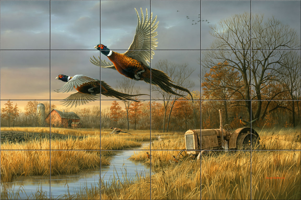 Back Forty Pheasants By The Hautman Brothers - Landscape