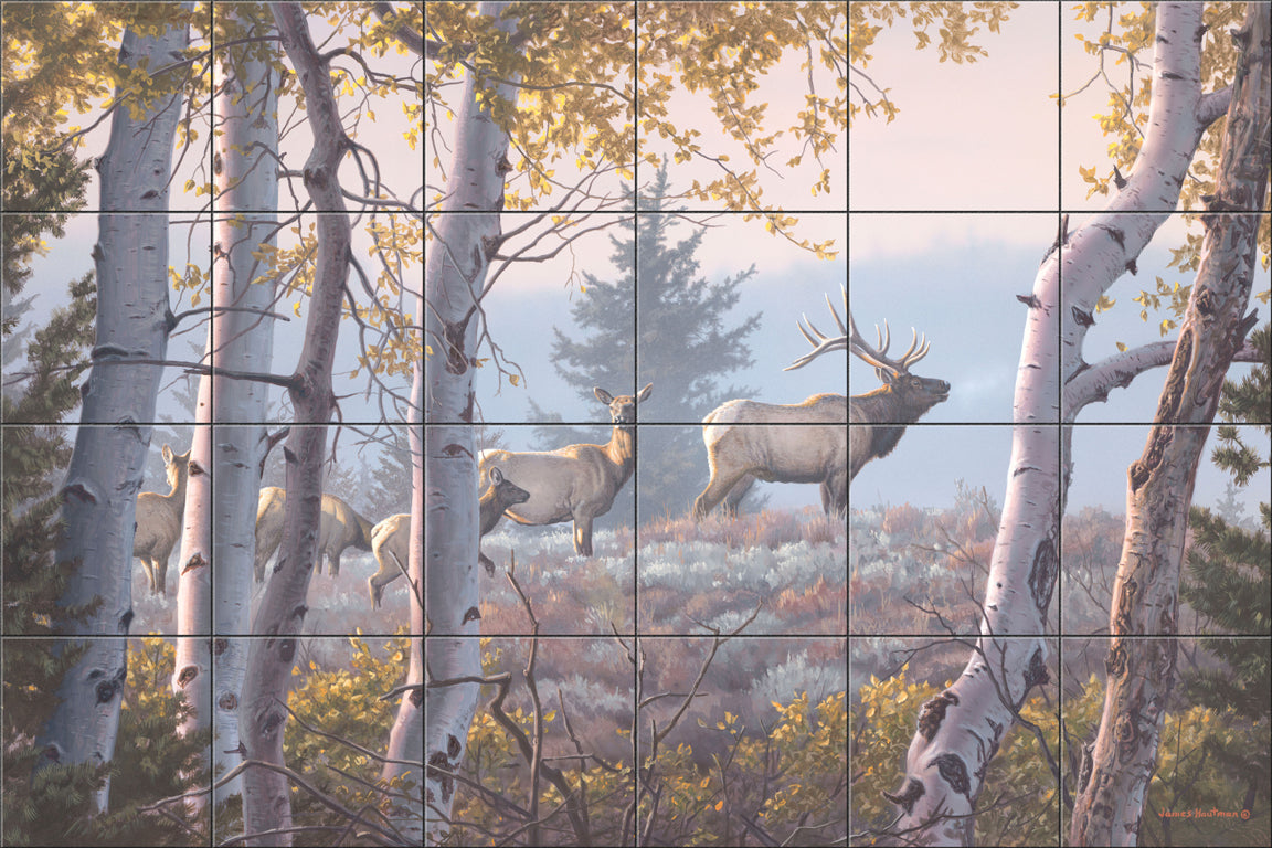 Through The Aspens By The Hautman Brothers  - Landscape
