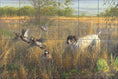 Load image into Gallery viewer, Cactus Covey By The Hautman Brothers - Landscape
