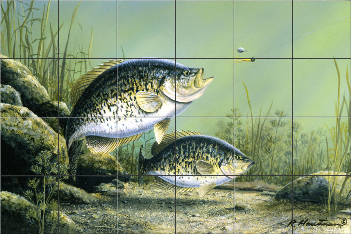 Crappies & Jig by The Hautman Brothers  - Landscape