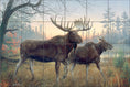 Load image into Gallery viewer, Autumn Twilight Moose By The Hautman Brothers - Landscape
