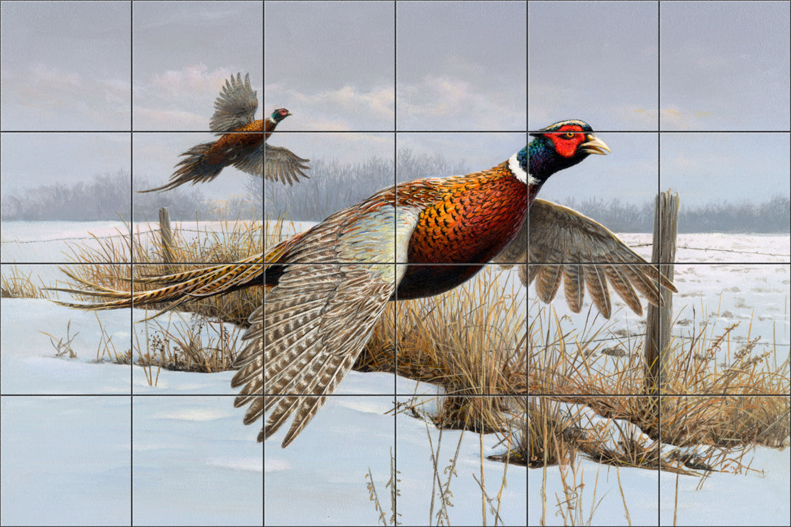 Fencerow Pheasants By The Hautman Brothers - Landscape