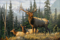 Load image into Gallery viewer, Meadow's Edge Elk By The Hautman Brothers - Landscape
