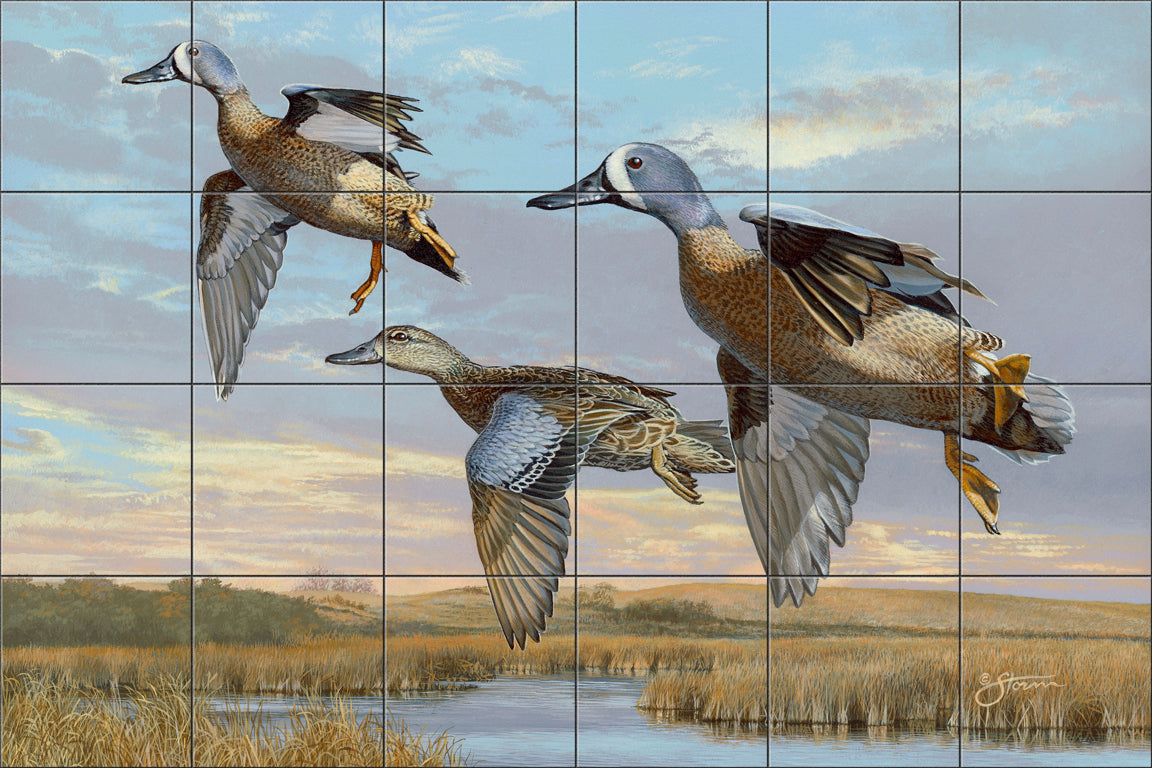 Late Season Blues - Bluewing Teal By Scot Storm - Landscape