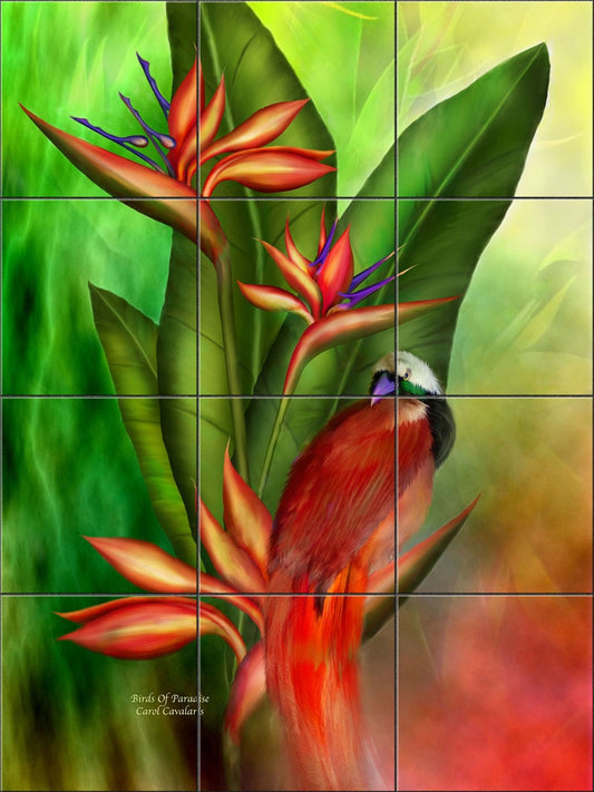 Bird Paradise By Heather B Picquelle - Portrait