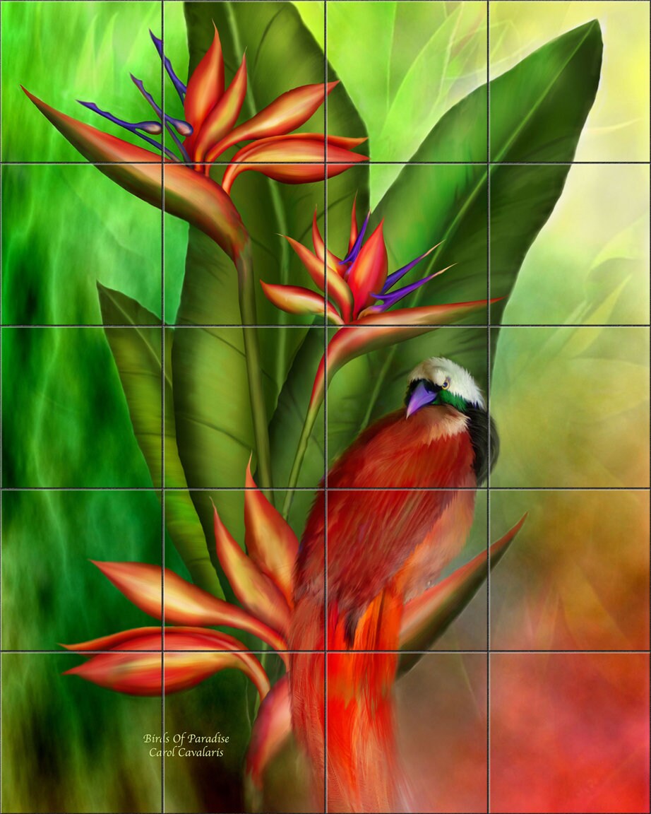 Bird Paradise By Heather B Picquelle - Portrait