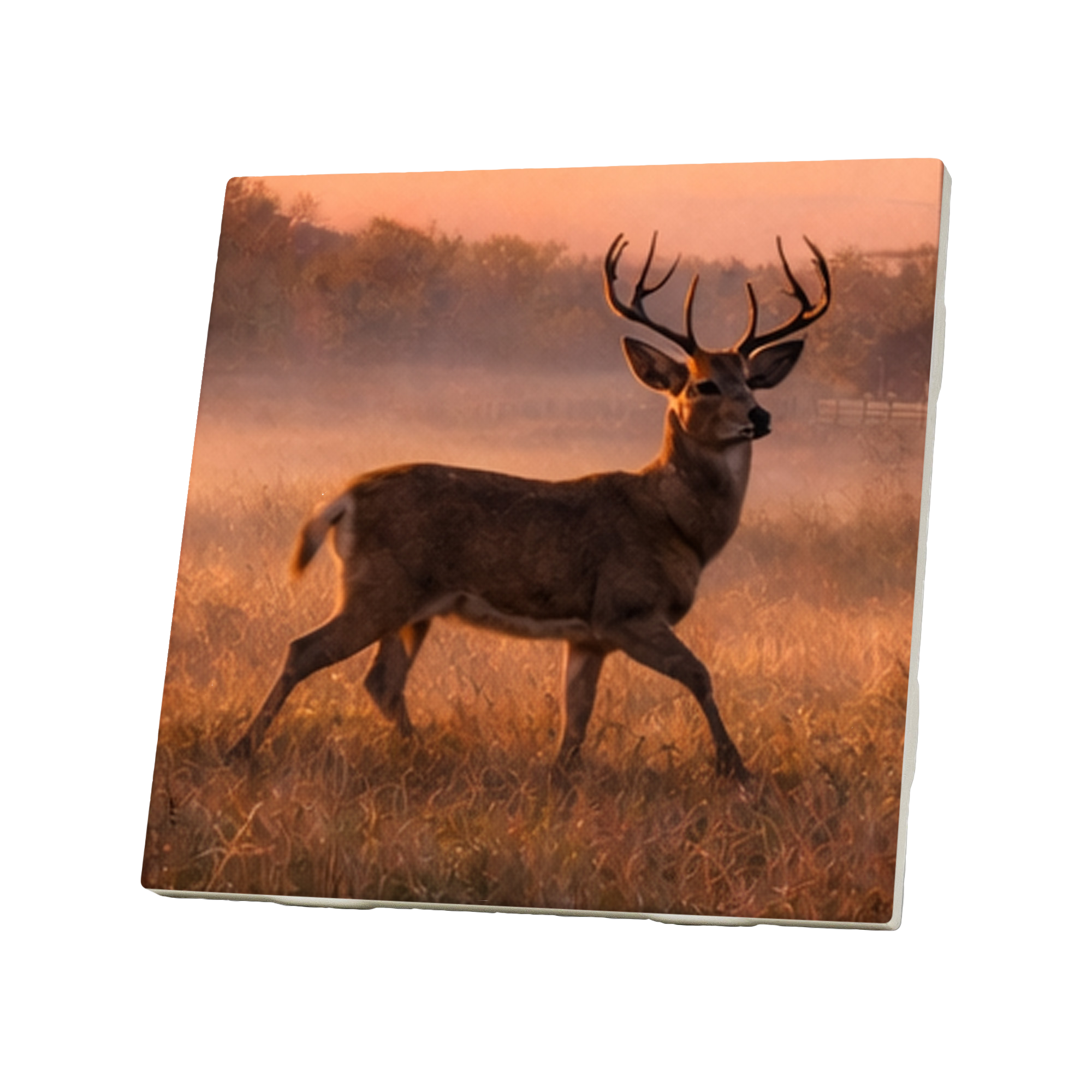 Farm Wildlife Coasters