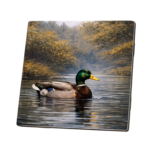 Mallard Coasters