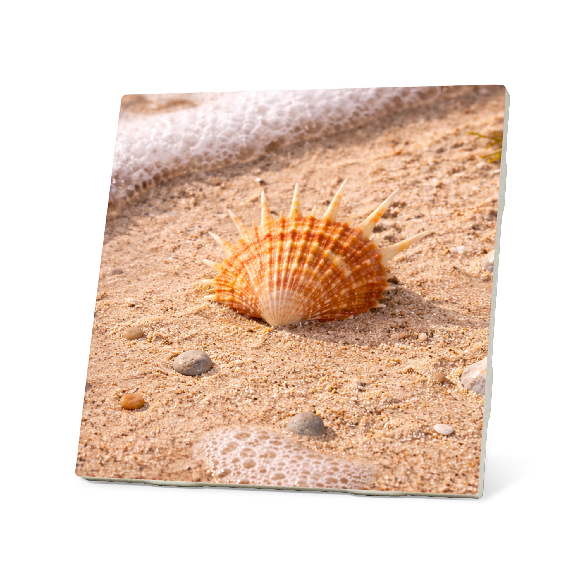 Seaside Treasures Coasters
