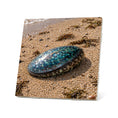 Load image into Gallery viewer, Seaside Treasures Coasters
