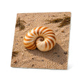 Load image into Gallery viewer, Seaside Treasures Coasters
