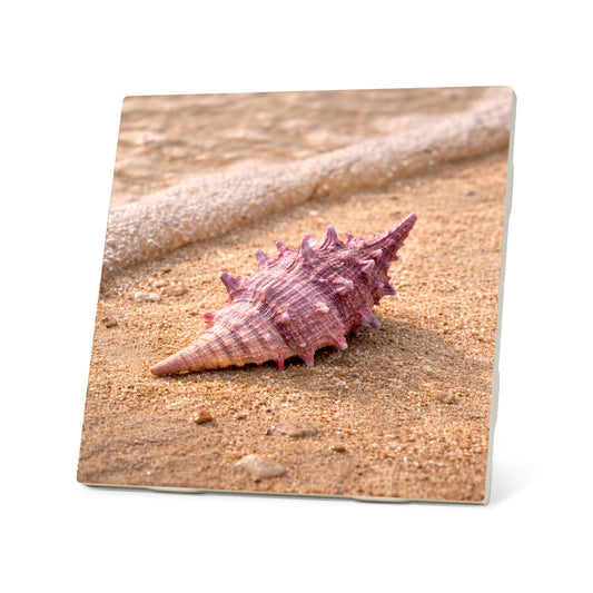 Seaside Treasures Coasters