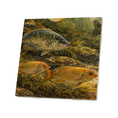 Load image into Gallery viewer, Underwater Commute Coasters
