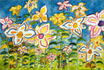 Load image into Gallery viewer, Daisies by Becki Thomas  - Landscape
